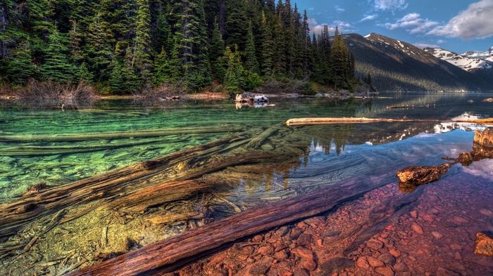 Clear lake with submerged logs and forested mountains
