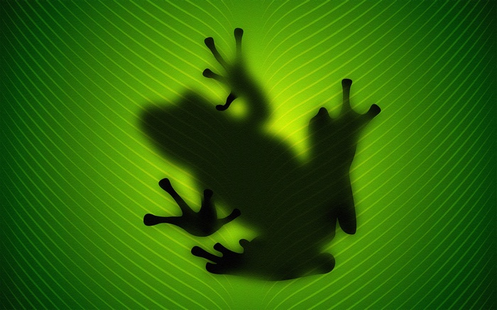 Silhouette of a frog on a green leaf