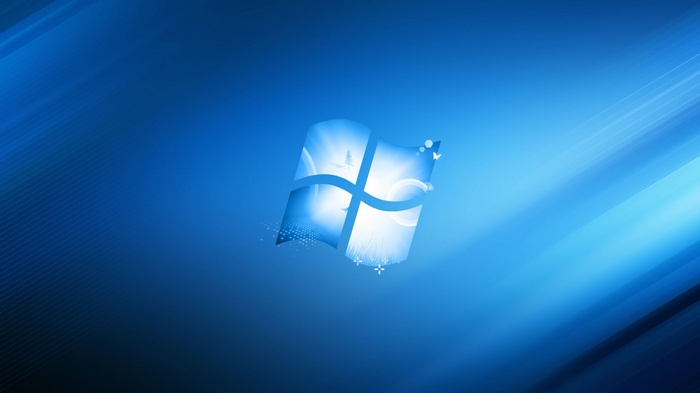 Windows 7 operating system logo