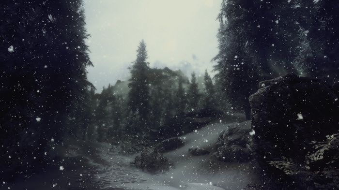 The Elder Scrolls V: Skyrim Winter Forest Scene