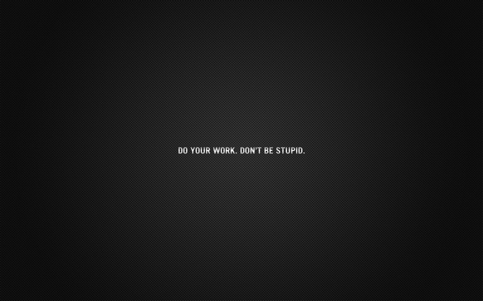 DO YOUR WORK. DON'T BE STUPID. Motivational Quote