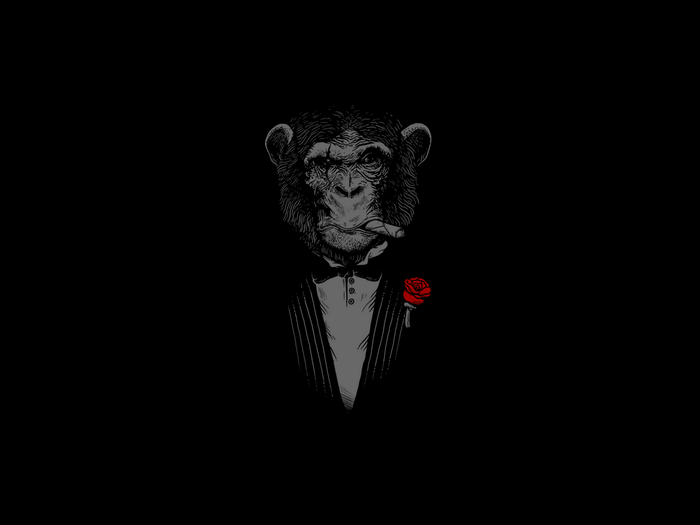 Monkey in a suit smoking a cigar with a red rose
