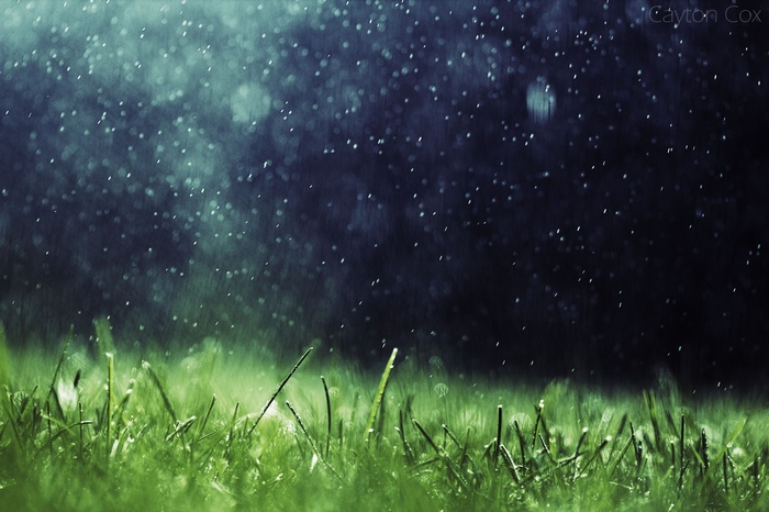 Rain falling on green grass