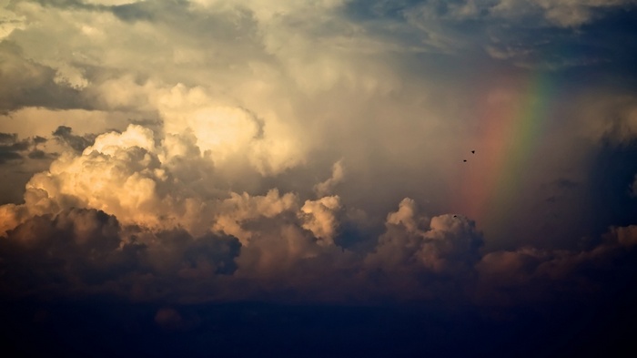 Rainbow and clouds with birds in the sky