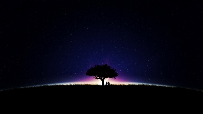Couple under a tree at night with stars