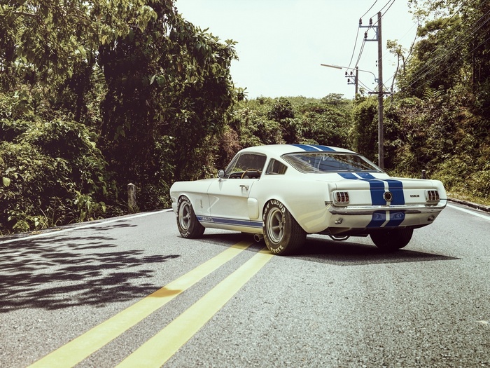 White Ford Mustang Shelby GT500 on a Road