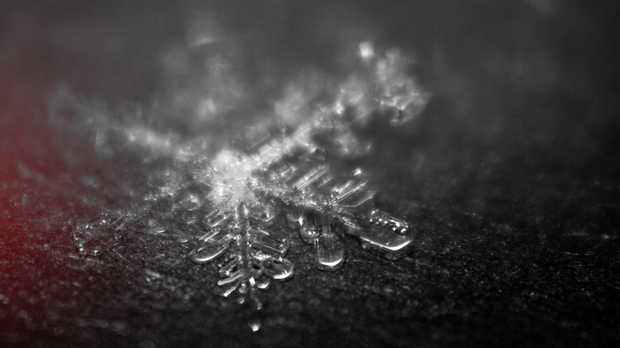 Macro photograph of a snowflake