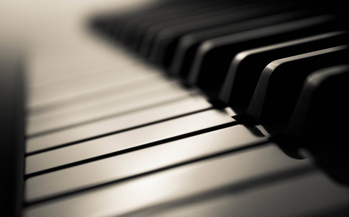 Close-up of a monochrome piano keyboard