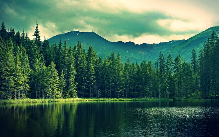 Lake and forest with mountains in the background