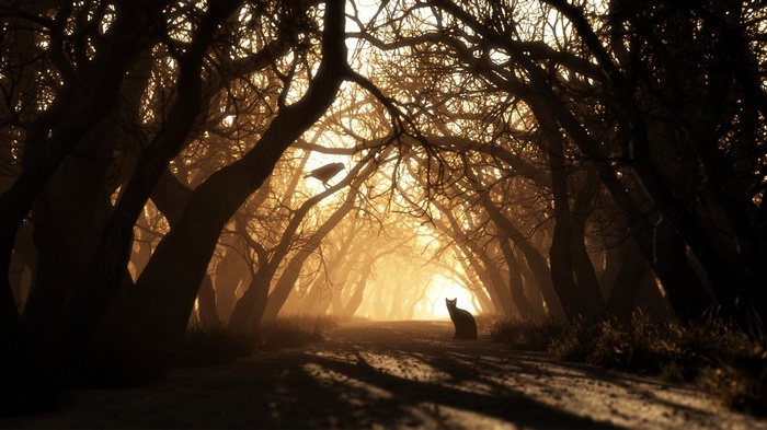 Cat and bird in a sunlit forest