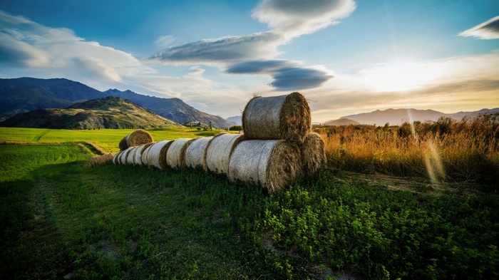 Haystacks in a field at sunset with mountains
