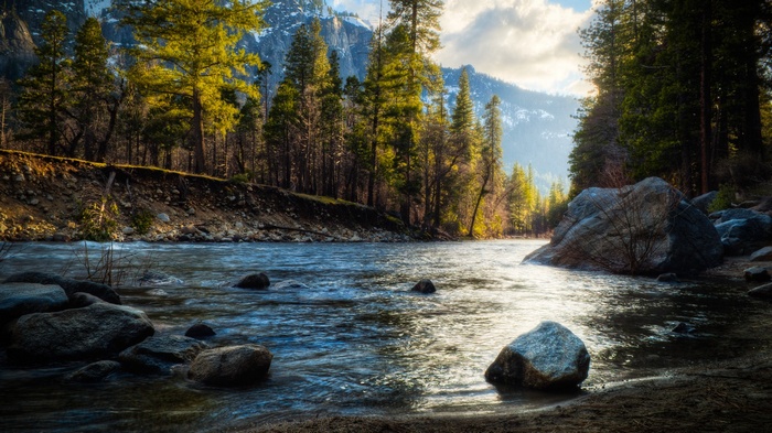 River flowing through a forest with mountains in the background
