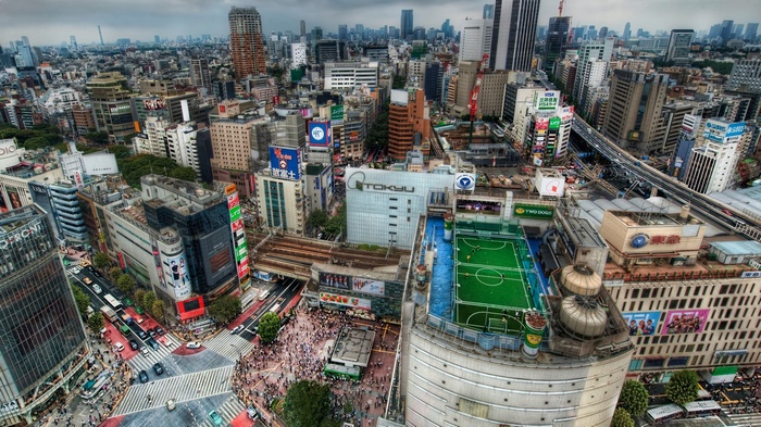 Tokyo cityscape with a rooftop soccer field