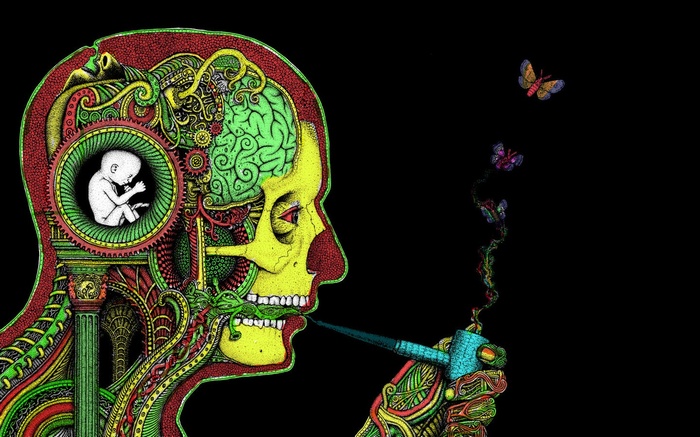 psychedelic skull smoking brain surreal drugs Rastafari pipes H R Giger face butterfly artwork
