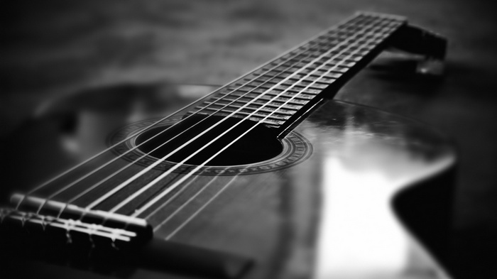 Monochrome close-up of a guitar's fretboard and strings