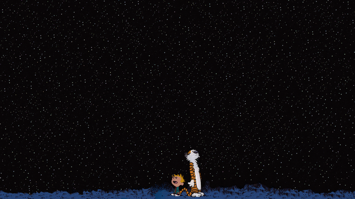 Calvin and Hobbes looking at the starry night sky