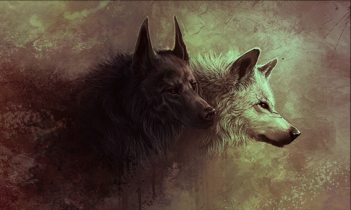 White Black Wolf Fantasy Art Animals