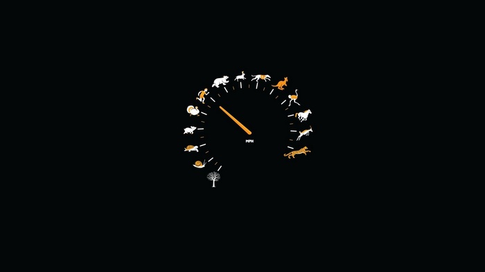 Speedometer with animals representing speed