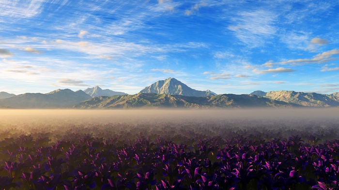 Purple flowers in front of mountains and sky