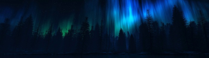 Aurora Borealis over a dark forest