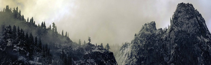 Snow-covered mountains with pine trees and fog