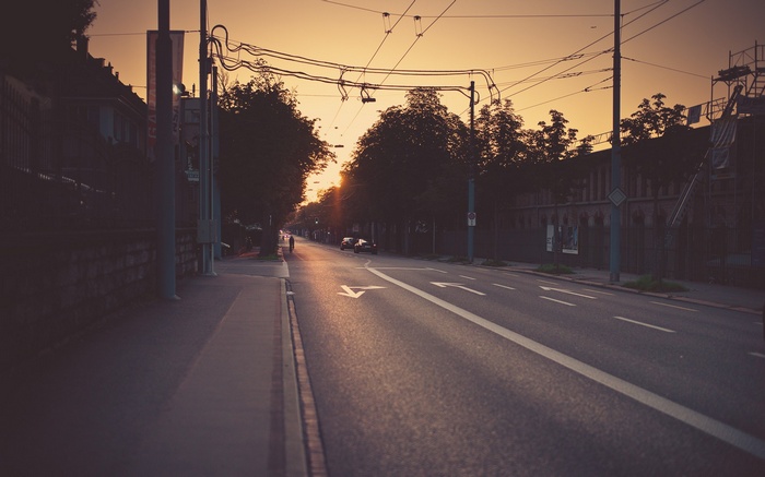 Street at sunset with trees and overhead wires
