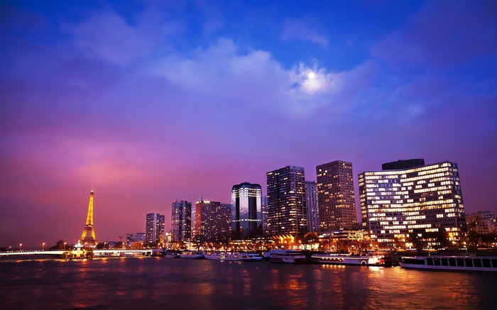 Eiffel Tower and Paris cityscape at night