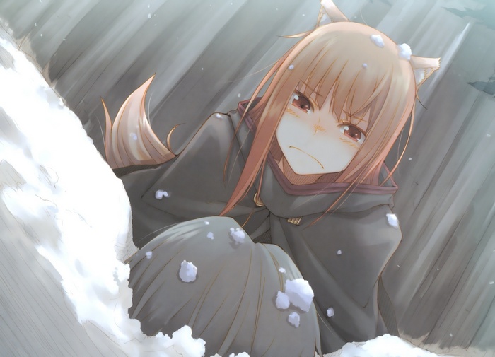 Holo from Spice and Wolf in the snow