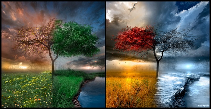 nature seasons clouds water collage trees summer artwork winter spring fall landscape