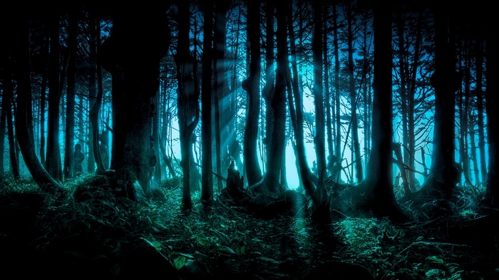 Dark fantasy forest with blue light and silhouettes