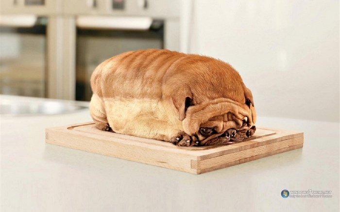 Pug dog shaped like a loaf of bread on a cutting board