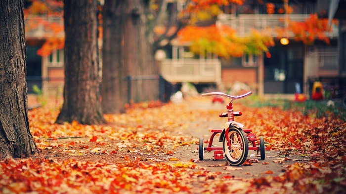 Red tricycle on a path covered in autumn leaves