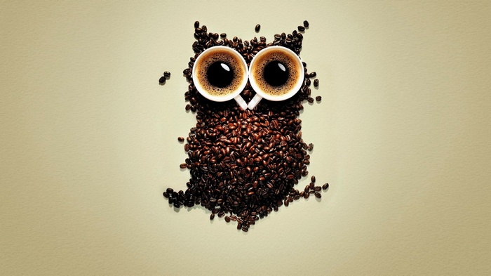 Owl made of coffee beans and cups