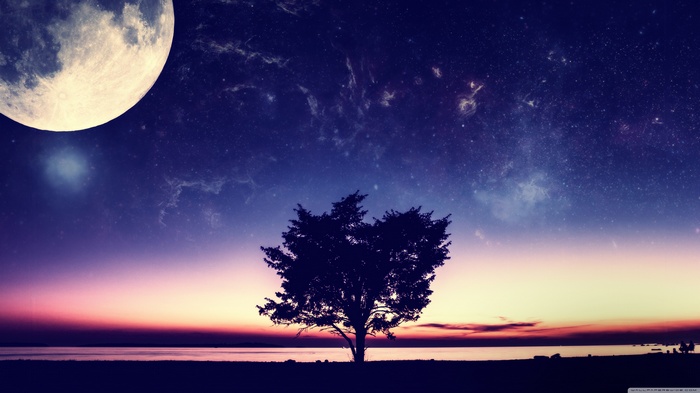 Moonlit night sky over a solitary tree and ocean