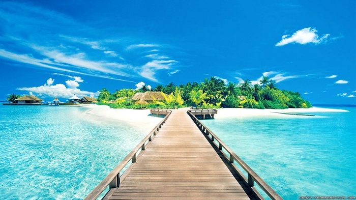 Tropical island with a wooden pier and palm trees