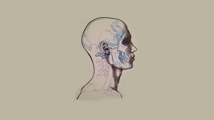 Minimalist artwork of a human skull and neck