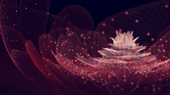 Abstract fractal flower with pink and red petals