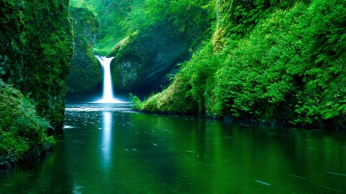 Green waterfall flowing into a dark river