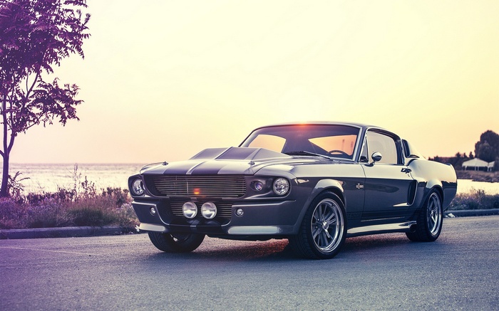 Ford Mustang Shelby GT parked by the water at sunset