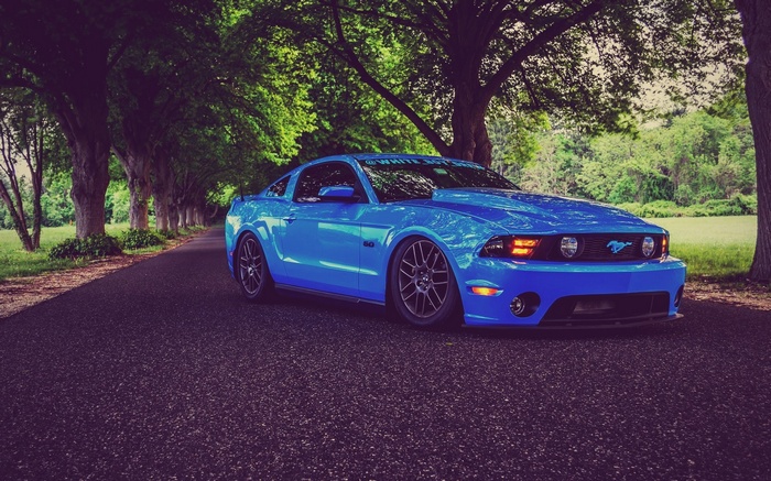 Blue Ford Mustang parked on a tree-lined road