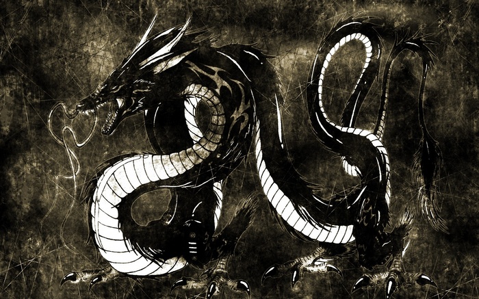 Black dragon artwork with white accents