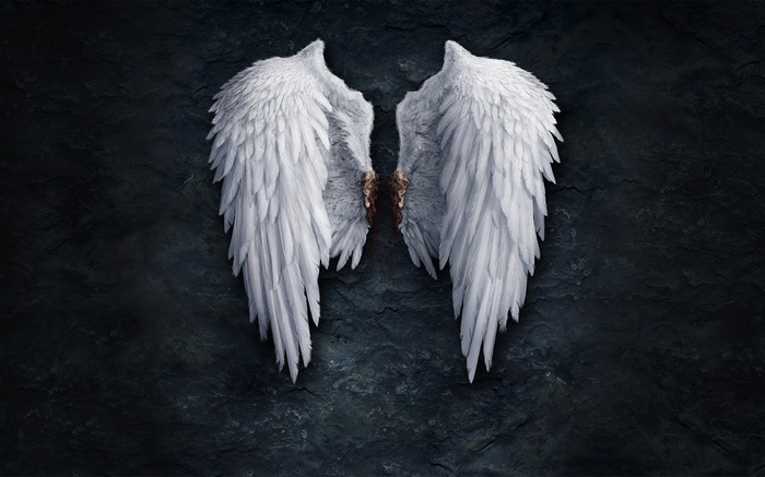 White Angel Wings on Dark Textured Background