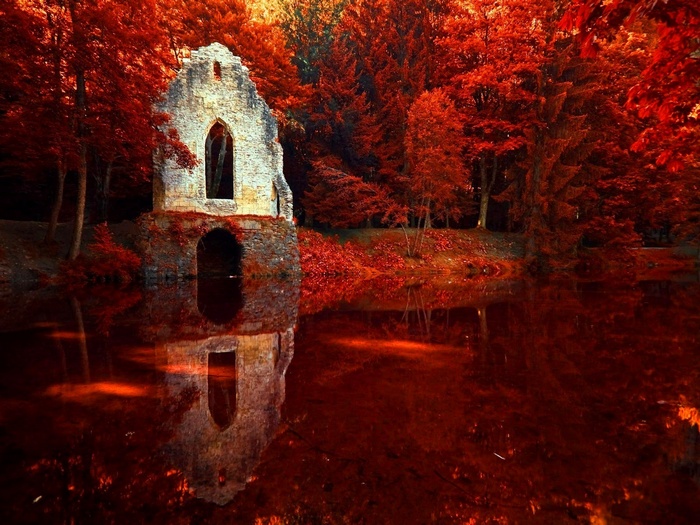 Autumn ruin reflected in red water