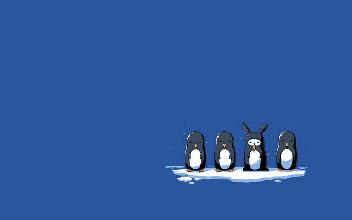 Four penguins and a rabbit on ice