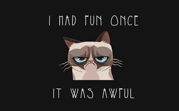 Grumpy Cat I Had Fun Once It Was Awful