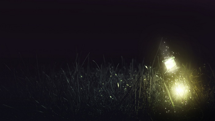 Bottle with glowing lights in grass at night