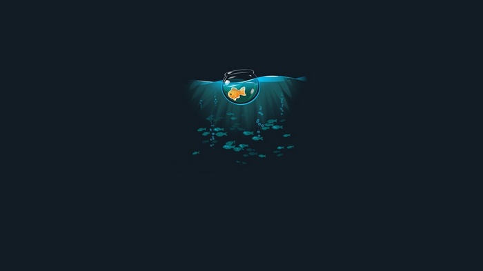Goldfish in a bowl surrounded by other fish