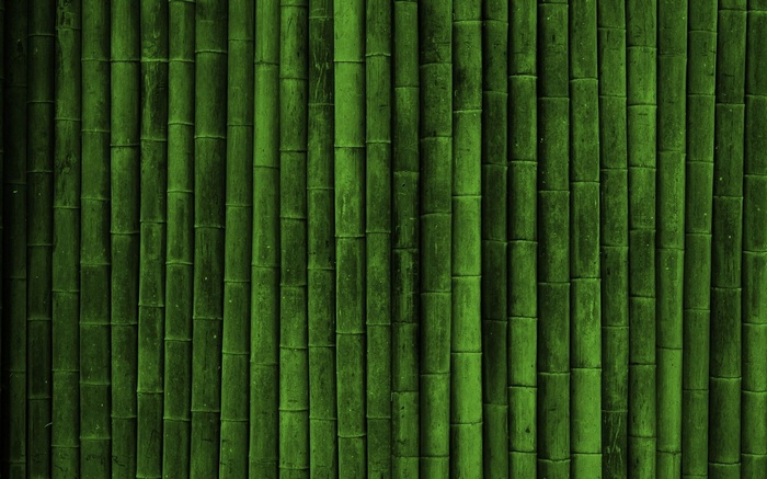 Green bamboo stalks arranged vertically