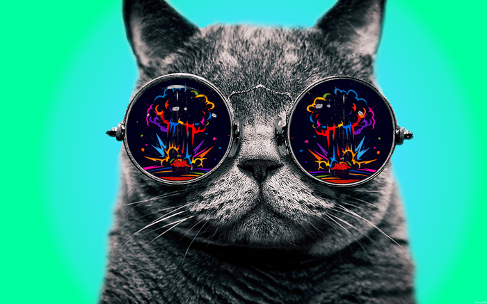 Cat wearing sunglasses reflecting an explosion