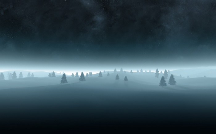 Misty winter night landscape with stars